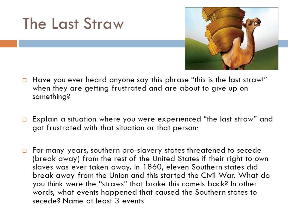 What Does The Phrase Last Straw What Does The Phrase Last Straw