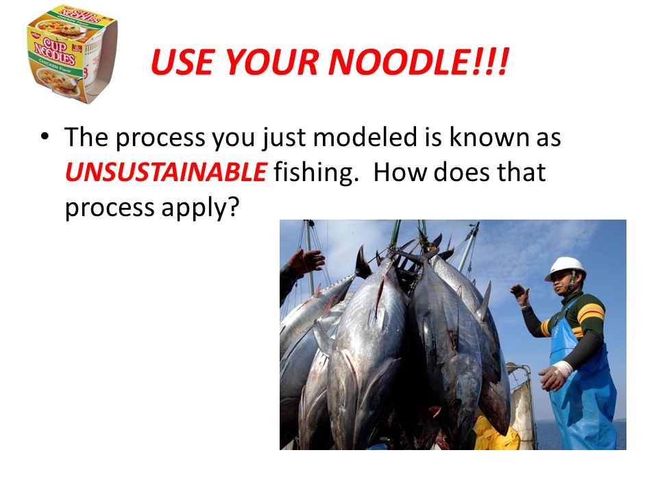 USE YOUR NOODLE!!. The process you just modeled is known as UNSUSTAINABLE fishing.