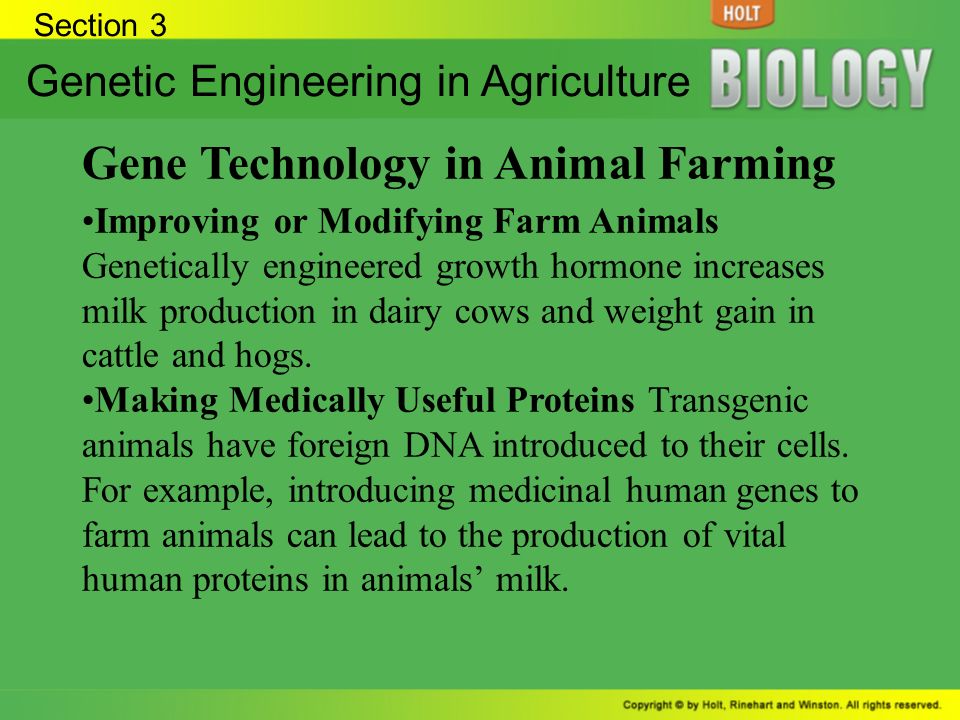 Section 1 Genetic Engineering Basic Steps of Genetic Engineering Genetic  Engineering Genetic engineers manipulate DNA for practical purposes.  Restriction. - ppt download