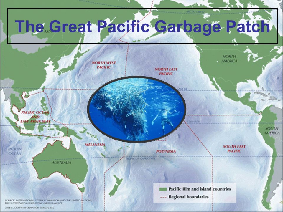 What Is The Connection Between These Pictures The Great Pacific Garbage Patch Ppt Download