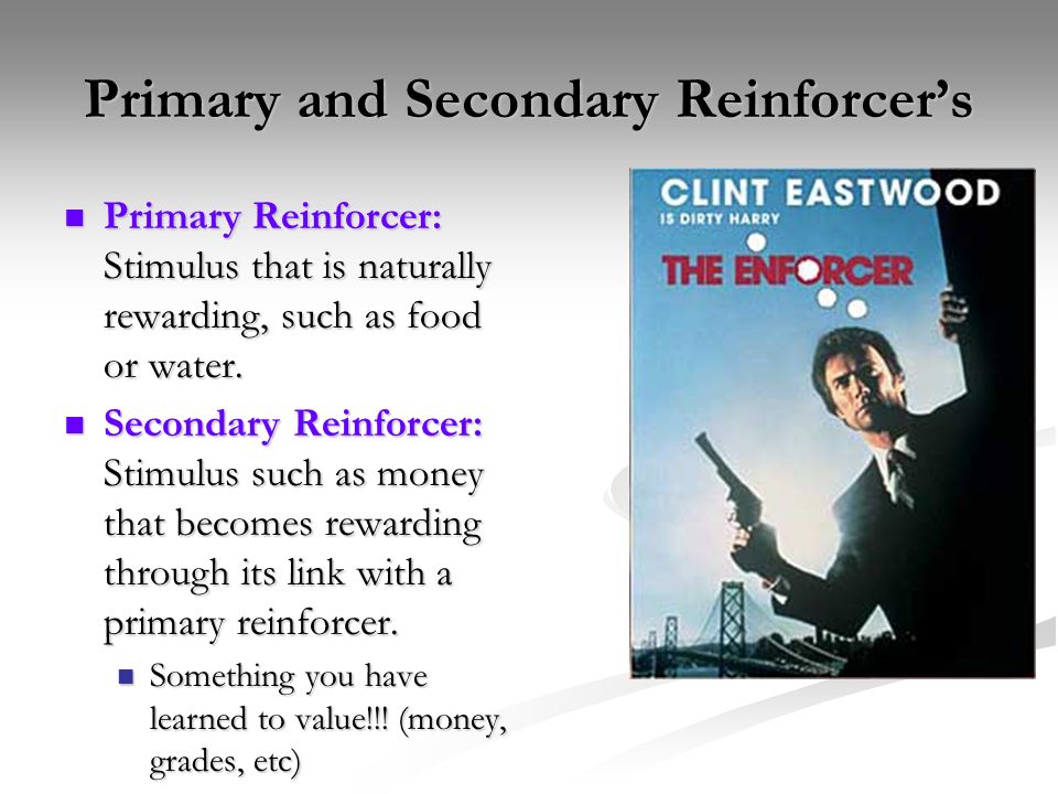 primary reinforcer example