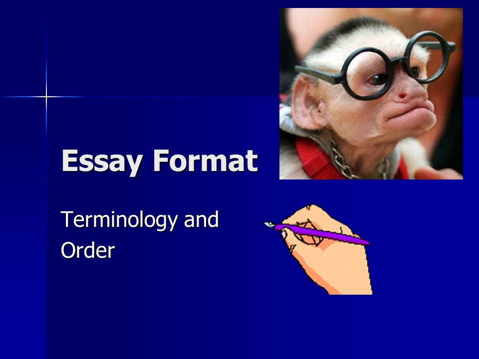 Essay Format Terminology and Order