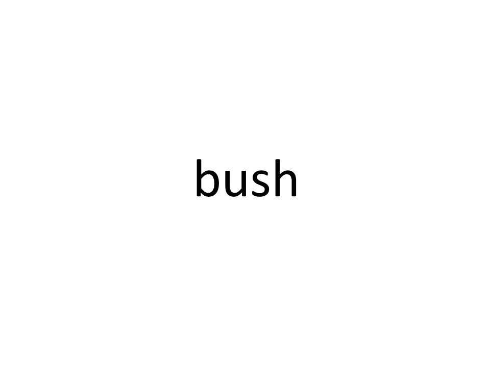Transience weakening or loss of a memory over time. -  ppt download