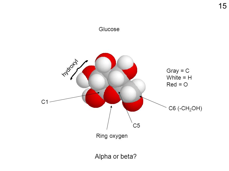 1 Polysaccharides ... \u003d class sugars #1: Macromolecule Monomer