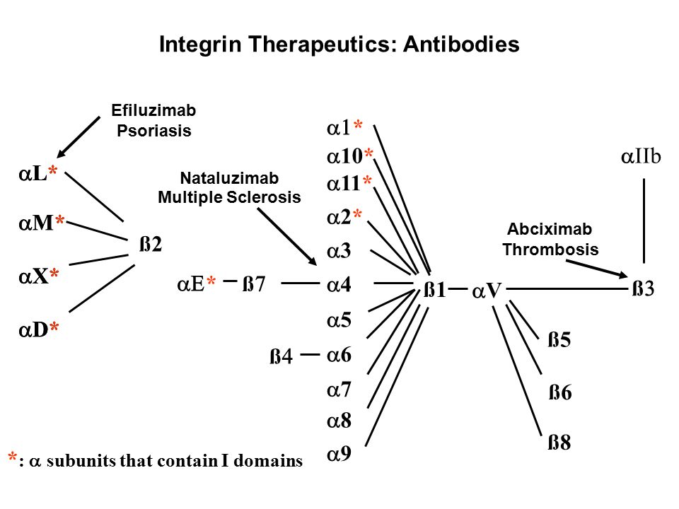 Model For Receptor Signaling Outside In Inside Out Outside In Ppt Download