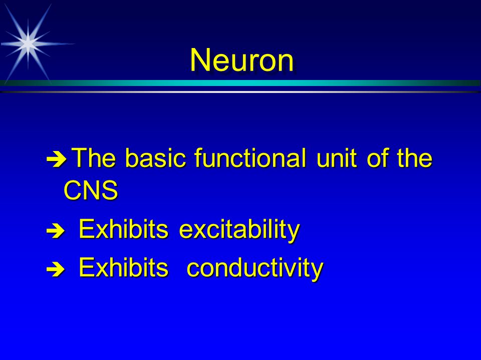 The Central Nervous System Neuron E The Basic Functional Unit Of The Cns E Exhibits Excitability E Exhibits Conductivity Ppt Download