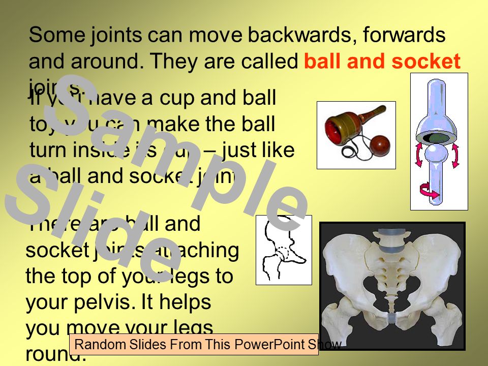 Some joints can move backwards, forwards and around.