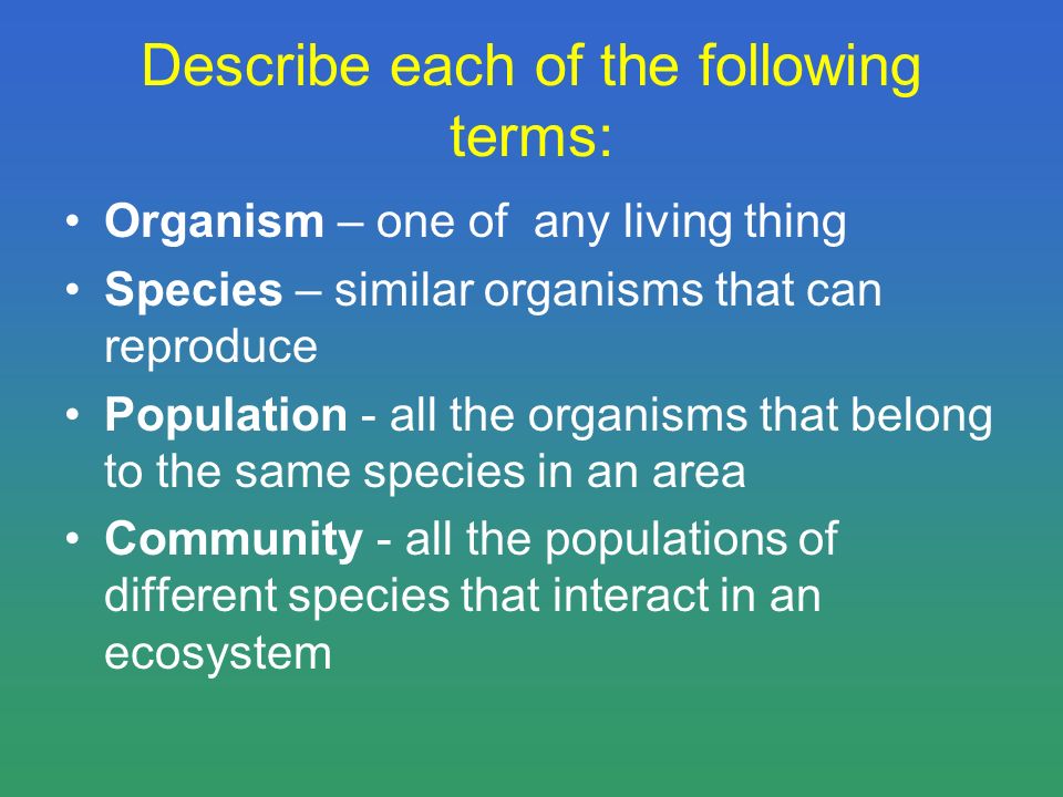 Describe each of the following terms: Organism – one of any living thing Species – similar organisms that can reproduce Population - all the organisms that belong to the same species in an area Community - all the populations of different species that interact in an ecosystem