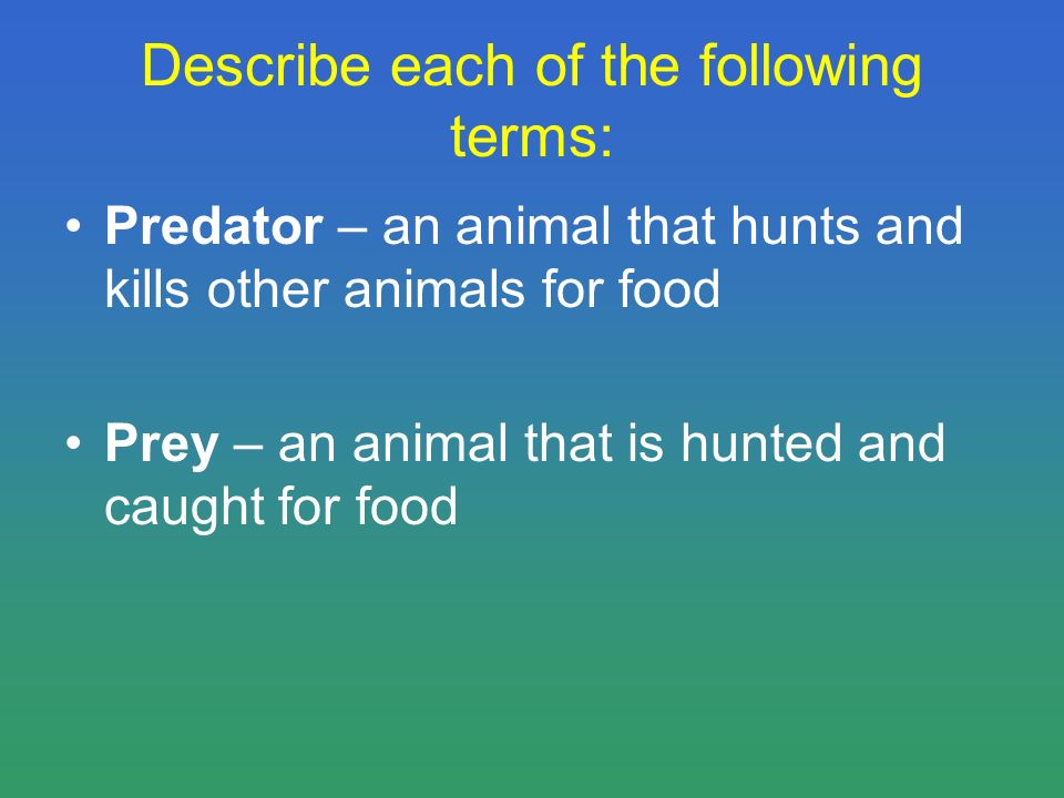 Describe each of the following terms: Predator – an animal that hunts and kills other animals for food Prey – an animal that is hunted and caught for food
