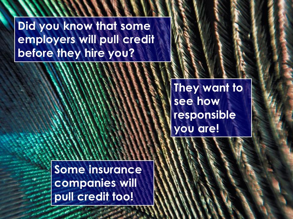 Did you know that some employers will pull credit before they hire you.
