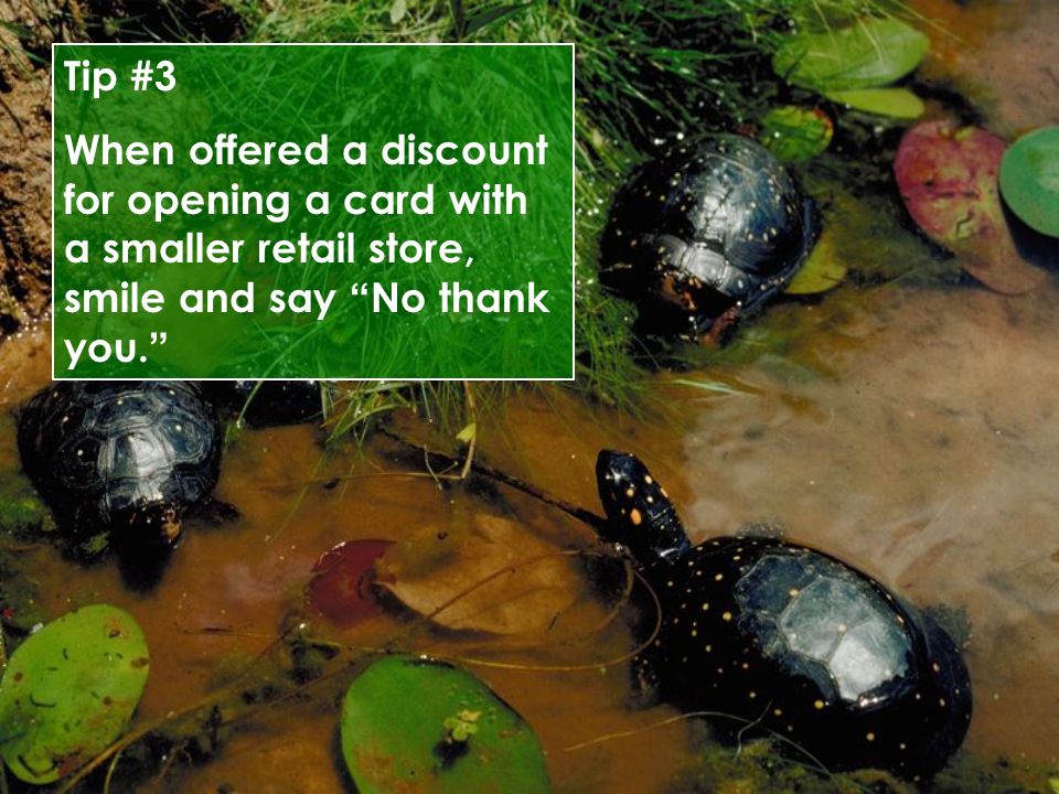 Tip #3 When offered a discount for opening a card with a smaller retail store, smile and say No thank you.