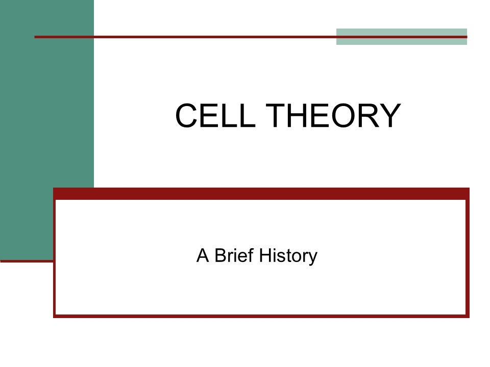 CELL THEORY A Brief History