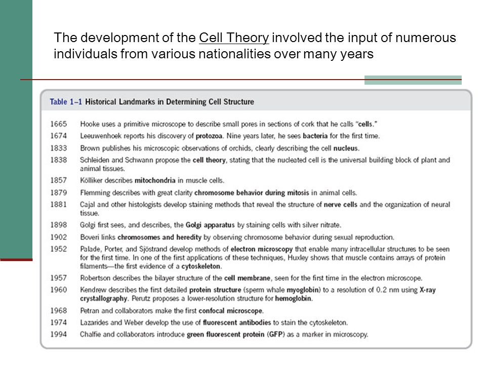 The development of the Cell Theory involved the input of numerous individuals from various nationalities over many years