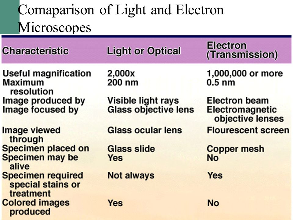 Comaparison of Light and Electron Microscopes