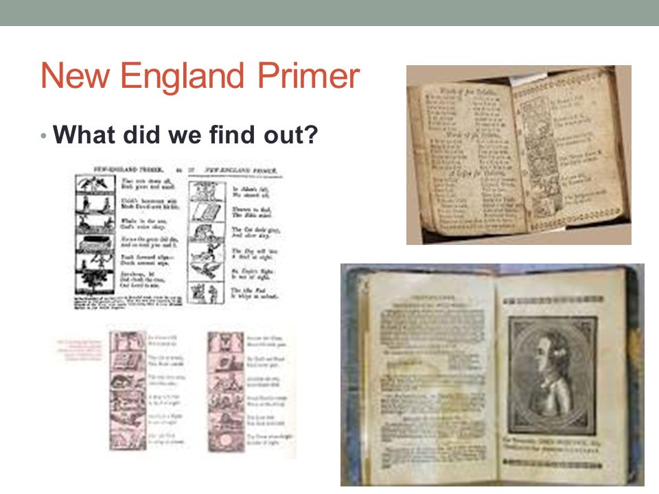 New England Primer What did we find out