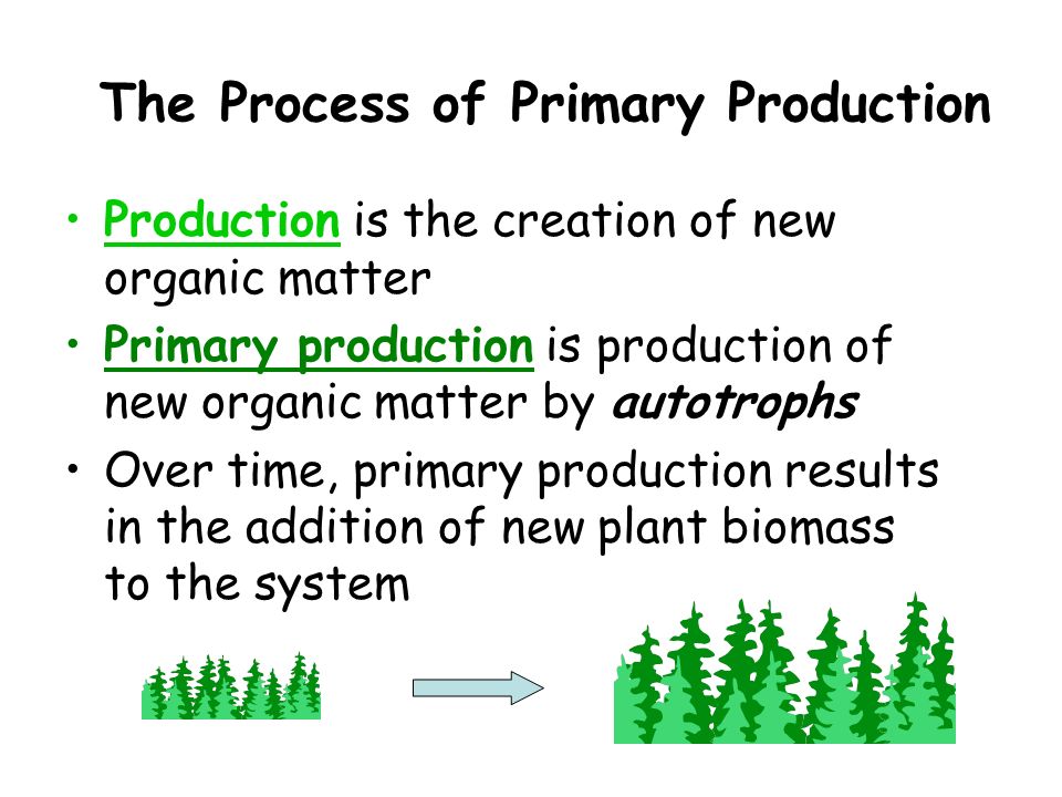The Flow of Energy: Primary Production What we need to learn: What ...