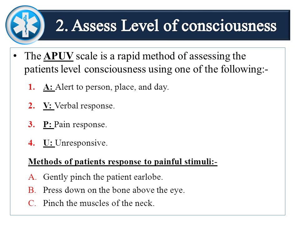 14 List Component Of Primary Assessment 2 Explain Initial General Impression 3 List Level Of Consciousness 4 Discuss Abcs Airway Breathing Ppt Download