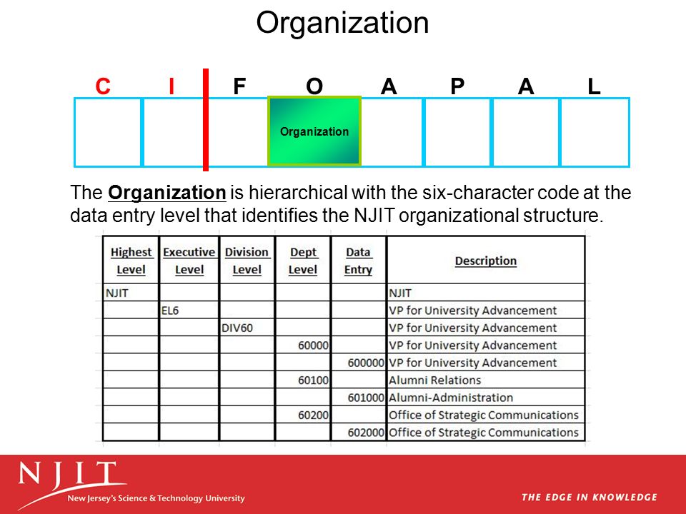 Njit Organizational Chart