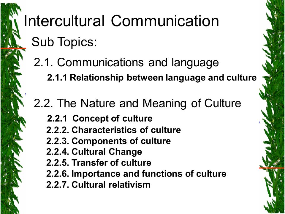 5 relationship between language and communication