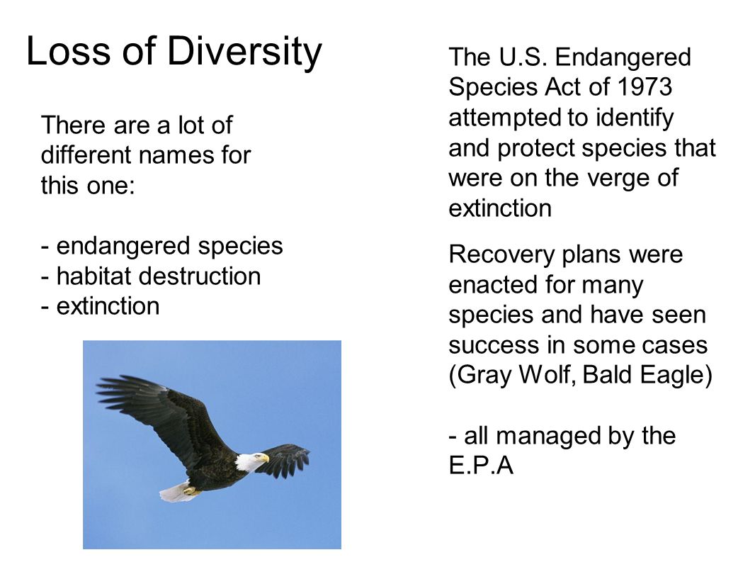 Loss of Diversity There are a lot of different names for this one: - endangered species - habitat destruction - extinction The U.S.