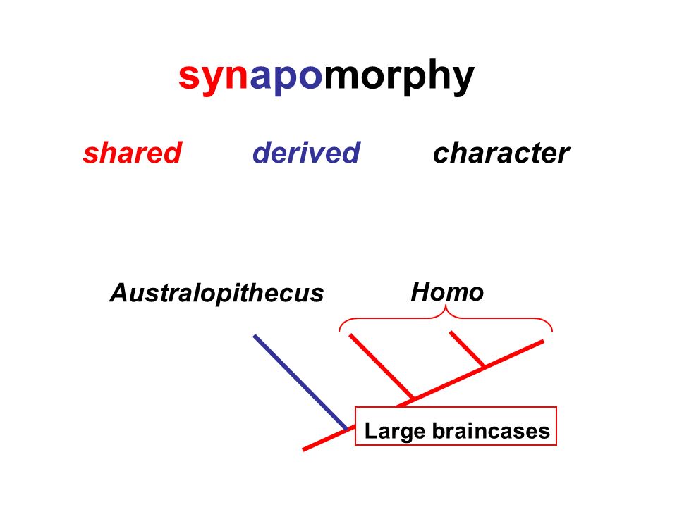 Characteristic example