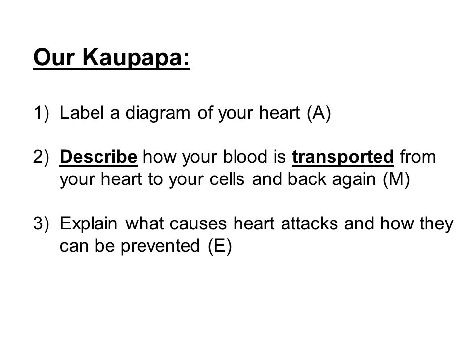 Our Kaupapa: 1) Label a diagram of your heart (A) 2) Describe how your blood is transported from your heart to your cells and back again (M) 3)Explain what causes heart attacks and how they can be prevented (E)
