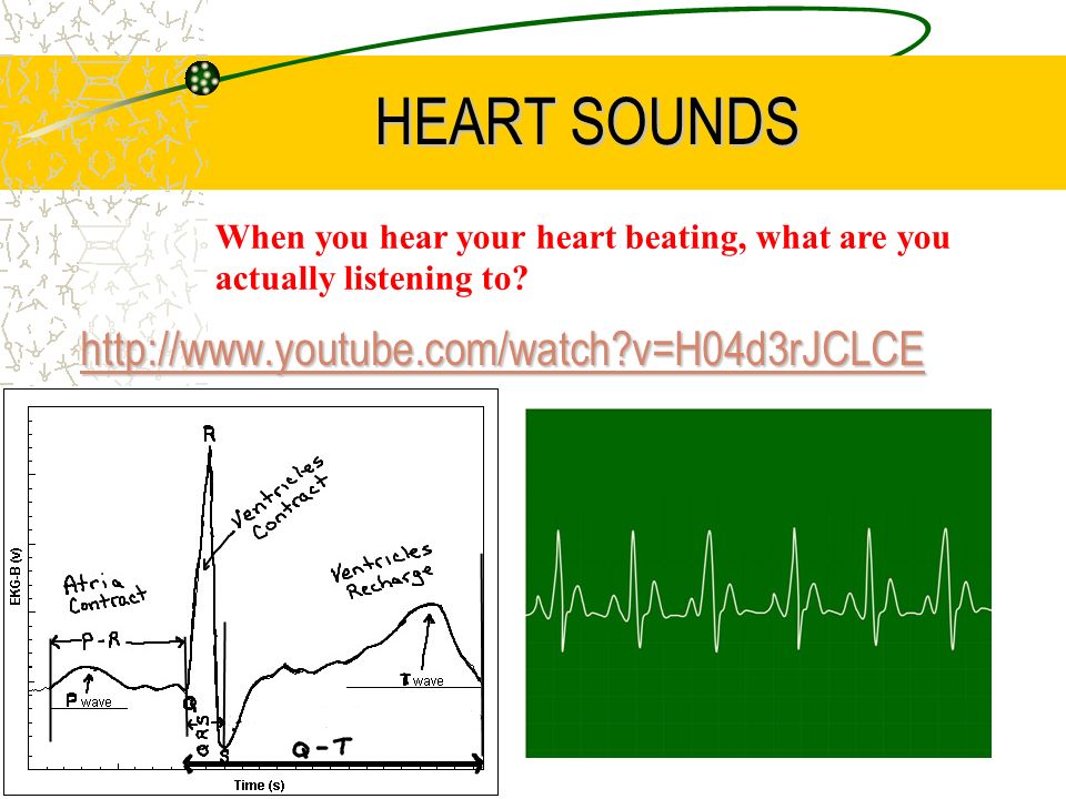 HEART SOUNDS   v=H04d3rJCLCE When you hear your heart beating, what are you actually listening to