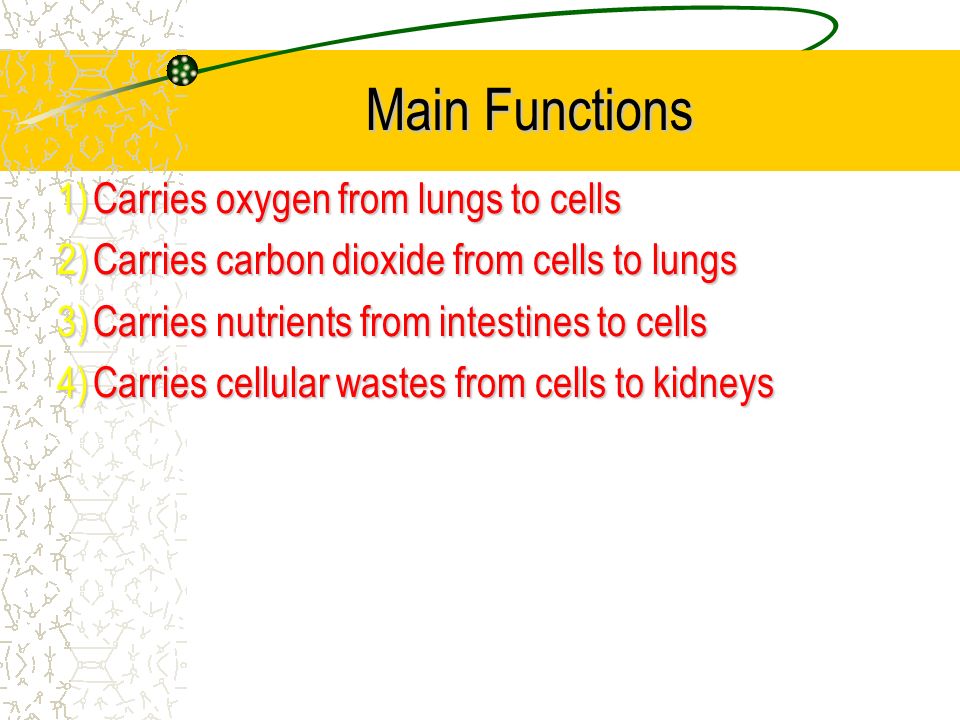 Main Functions 1)Carries oxygen from lungs to cells 2)Carries carbon dioxide from cells to lungs 3)Carries nutrients from intestines to cells 4)Carries cellular wastes from cells to kidneys