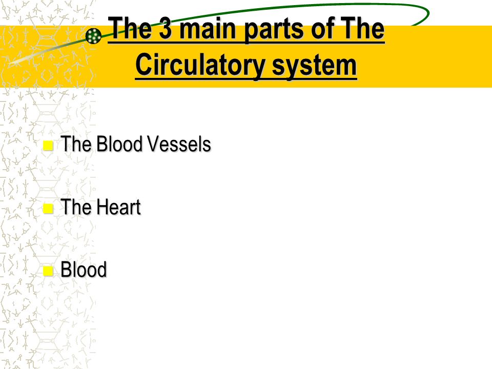 The 3 main parts of The Circulatory system The Blood Vessels The Blood Vessels The Heart The Heart Blood Blood