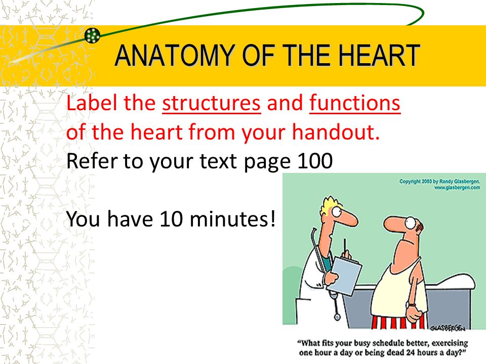 Label the structures and functions of the heart from your handout.