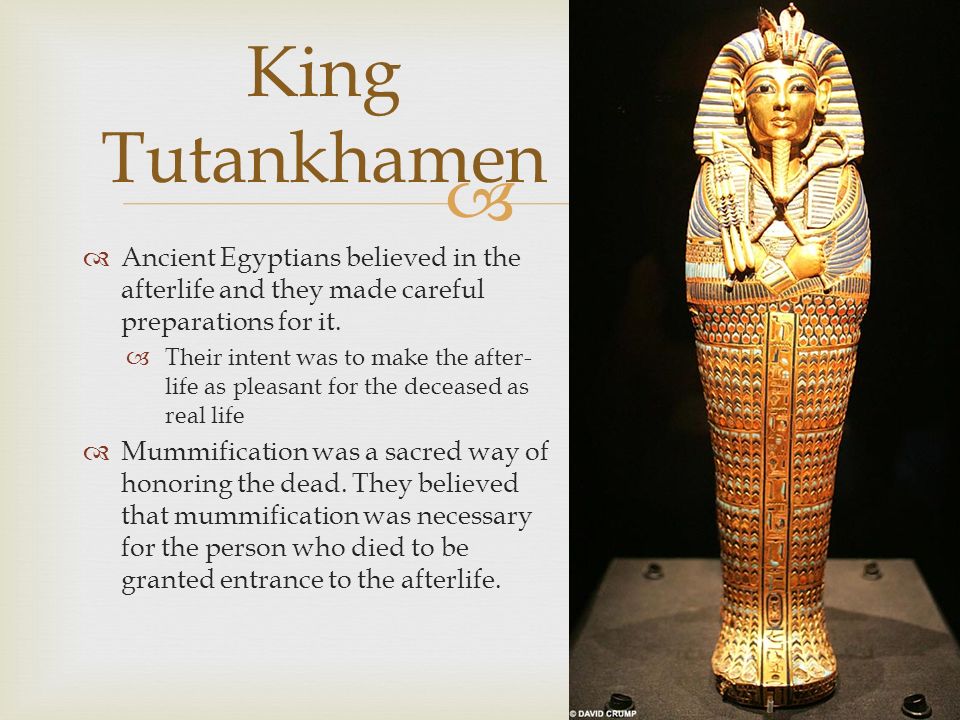 Known as “The Boy King.” He became King of Egypt when he was 9 years old,  and he ruled from 1341 – 1323 B.C., over 3,000 years ago.  Tutankhamen's.  - ppt download