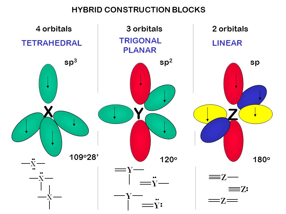 CONSTRUCTION BLOCKS THE HYBRIDS ARE MOLECULAR LEGOS EACH IS USED IN A SPECIFIC BONDING SITUATION