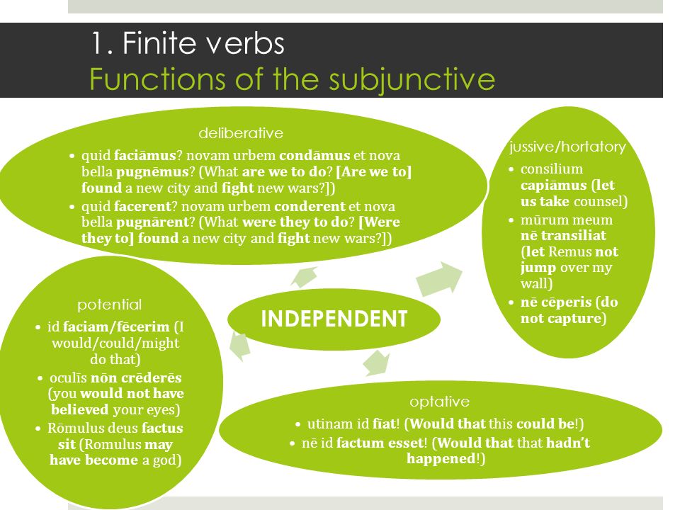 Verbs function. 3 Non Finite forms of the verb. Discipline verb form. Разница participe present et adjectif verbal.