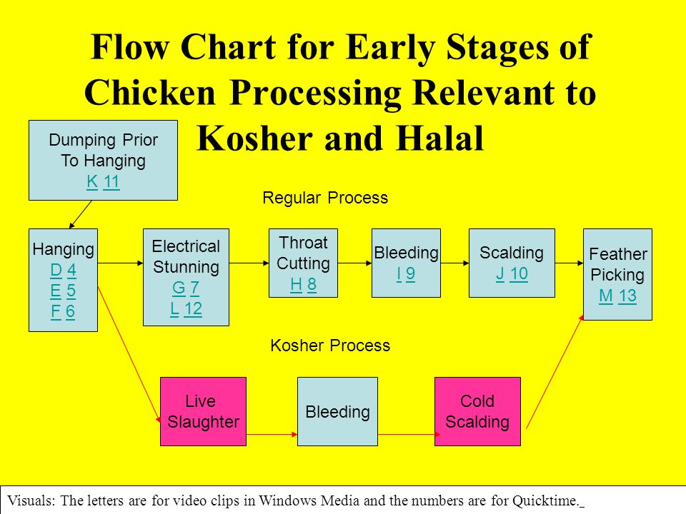 Flow Chart Of Chicken Processing