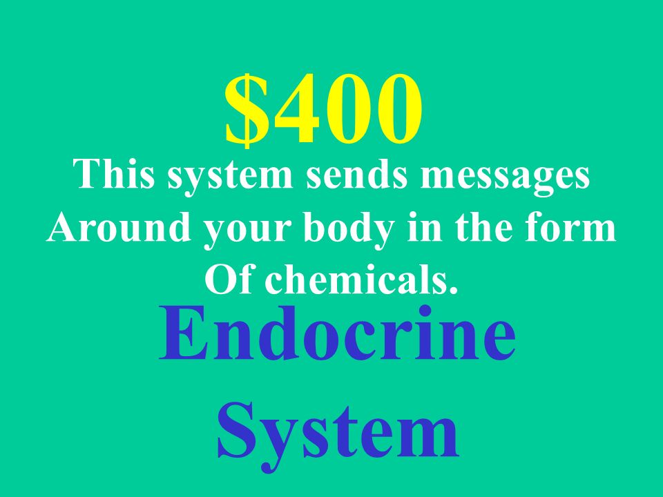 Endocrine System $400 This system sends messages Around your body in the form Of chemicals.