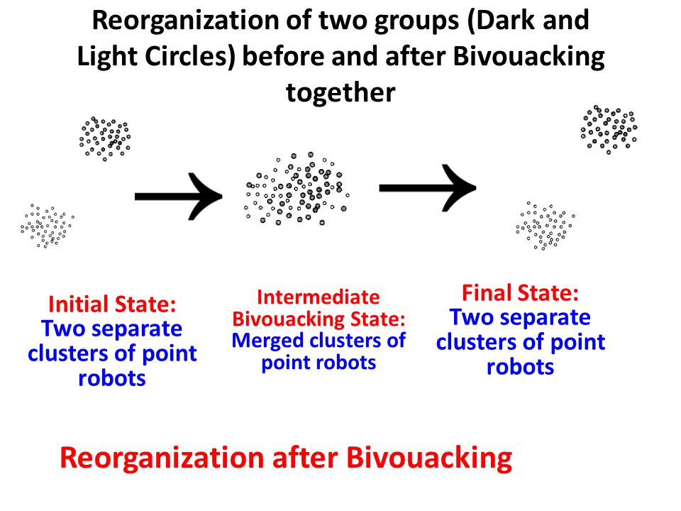 Reorganization of two groups (Dark and Light Circles) before and after Bivouacking together Final State: Two separate clusters of point robots Intermediate Bivouacking State: Merged clusters of point robots Initial State: Two separate clusters of point robots Reorganization after Bivouacking