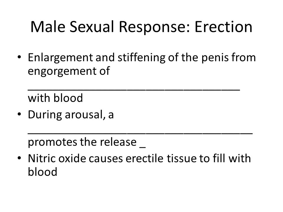 Nitric oxide a nd sex