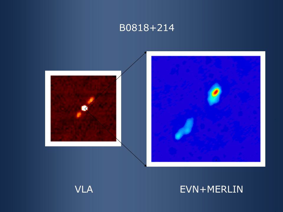 VLAEVN+MERLIN B