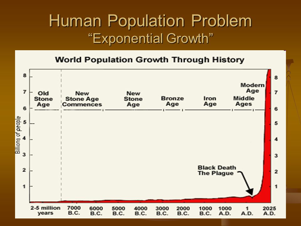 Human Population Problem Exponential Growth