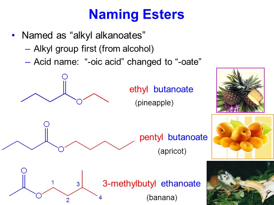 Naming Esters Named as alkyl alkanoates –Alkyl group first (from alcohol) –Acid name: -oic acid changed to -oate ethylbutanoate pentylbutanoate 3-methylbutylethanoate (pineapple) (apricot) (banana)