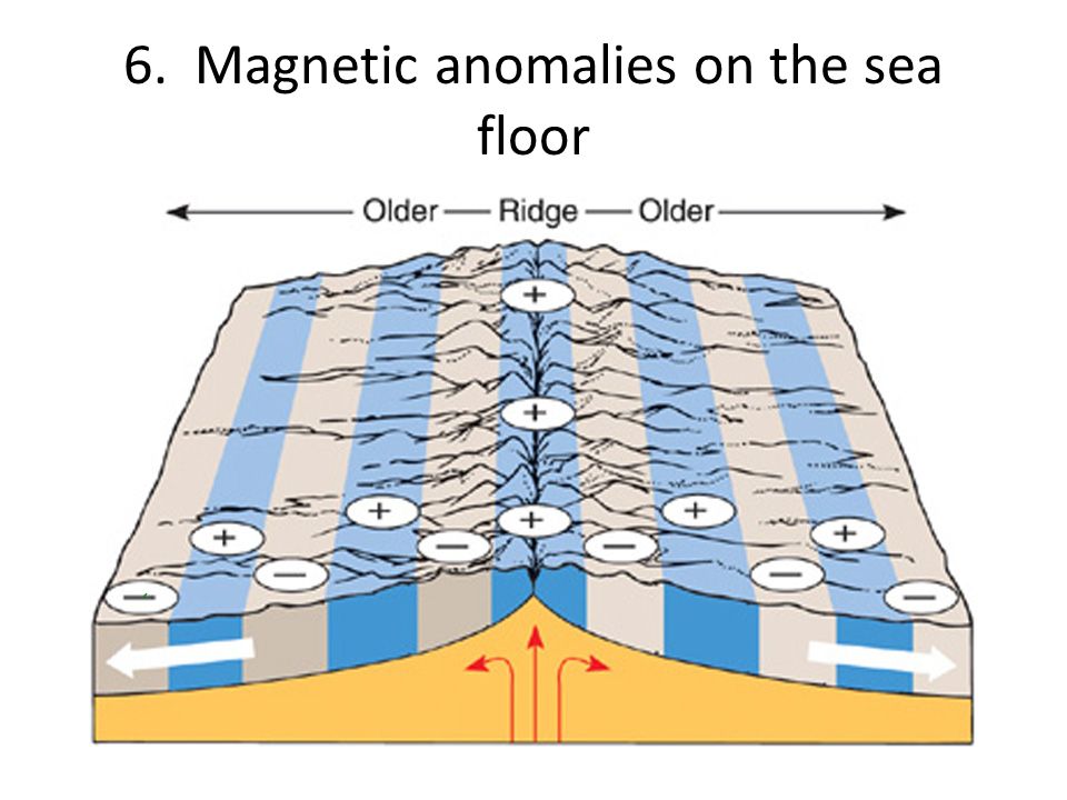 The Sea Floor Continental Vs Oceanic Crust What Is Continental Drift The Idea That The Plates Are Floating And Moving Around On A Liquid Mantle Ppt Download