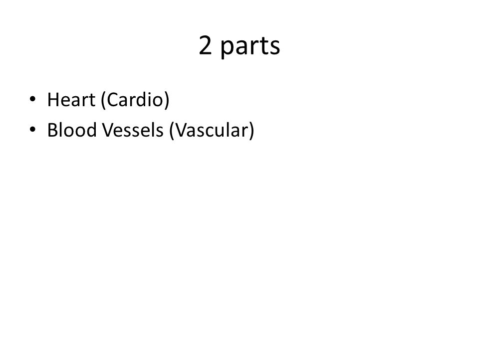 2 parts Heart (Cardio) Blood Vessels (Vascular)
