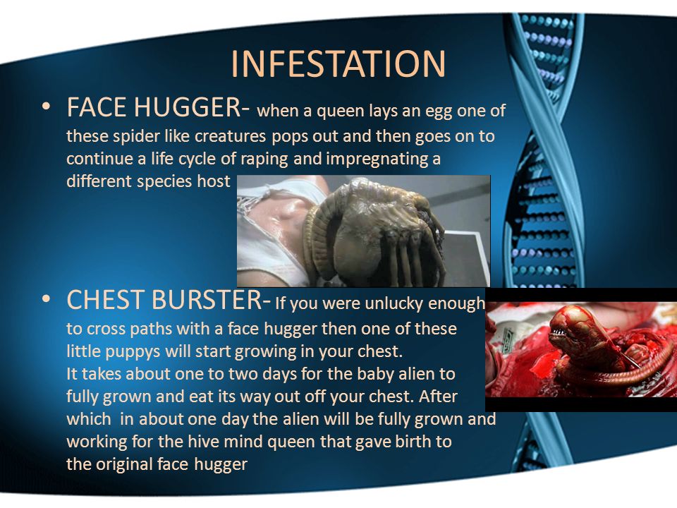 INFESTATION FACE HUGGER- when a queen lays an egg one of these spider like creatures pops out and then goes on to continue a life cycle of raping and impregnating a different species host CHEST BURSTER- If you were unlucky enough to cross paths with a face hugger then one of these little puppys will start growing in your chest.