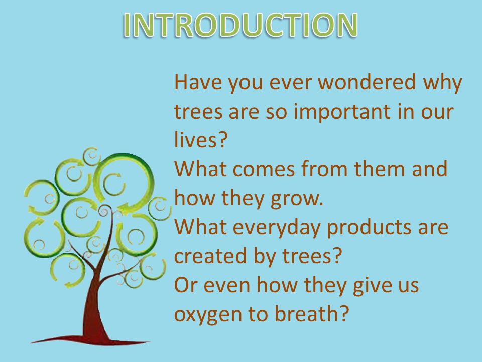 Have you ever wondered why trees are so important in our lives.
