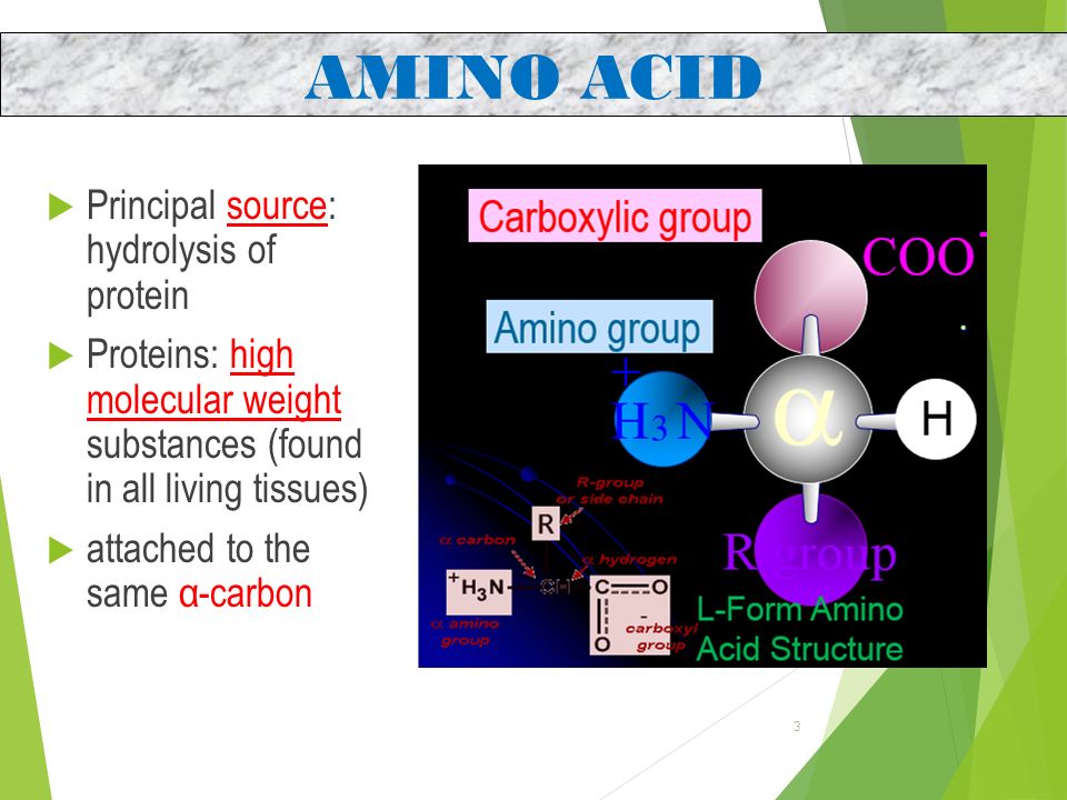 AMINO ACID  Principal source: hydrolysis of protein  Proteins: high molecular weight substances (found in all living tissues)  attached to the same α-carbon 3