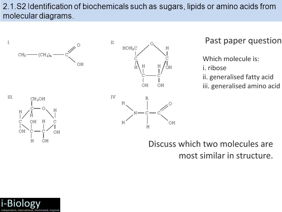 Nicholson Metabolic Pathways Chart