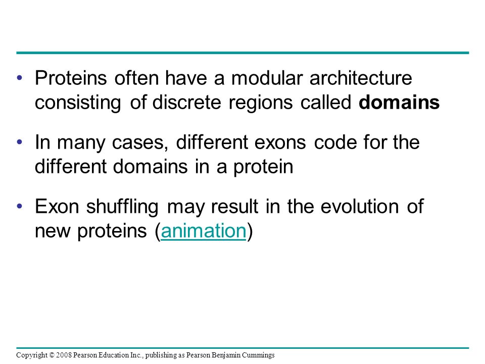 Ch 17 – From Gene to Protein The information content of DNA is in the form  of specific sequences of nucleotides The DNA inherited by an organism  leads. - ppt download