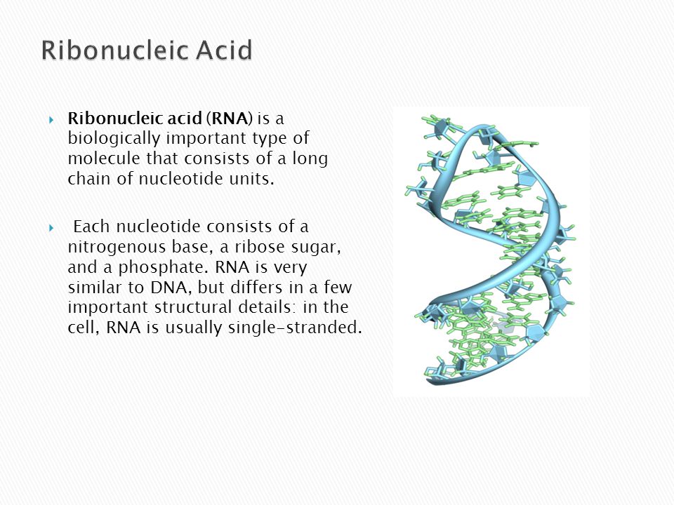  Ribonucleic acid (RNA) is a biologically important type of molecule that consists of a long chain of nucleotide units.