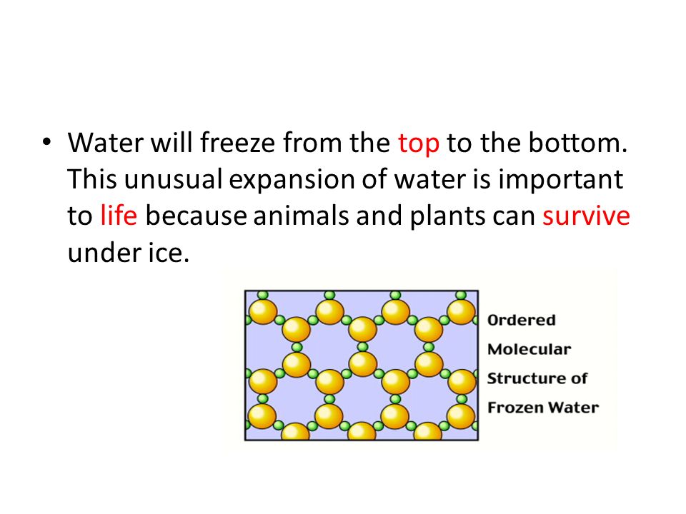 Water will freeze from the top to the bottom.