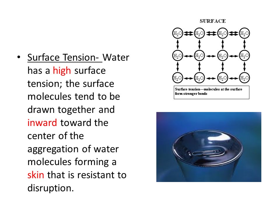 Surface Tension- Water has a high surface tension; the surface molecules tend to be drawn together and inward toward the center of the aggregation of water molecules forming a skin that is resistant to disruption.